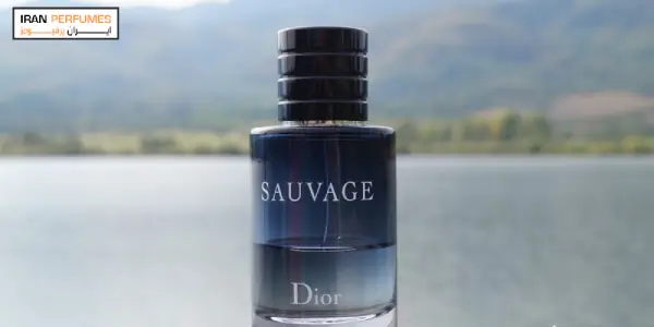 ادکلن مردانه دیور ساوج Dior, Sauvage