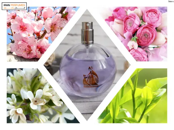 عطر زنانه اکلت لانوین 