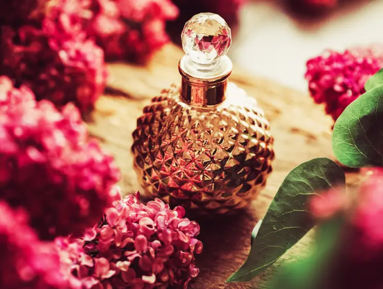 رایحه مختلف عطرها