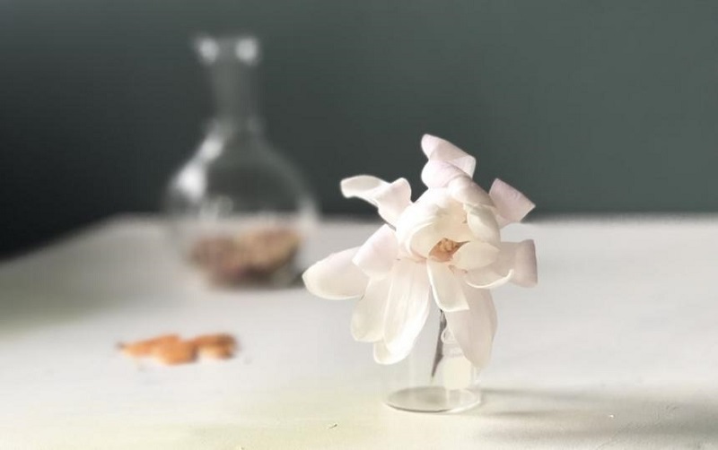 دسته‌بندی سنتتیک‌ها در دنیای عطر
