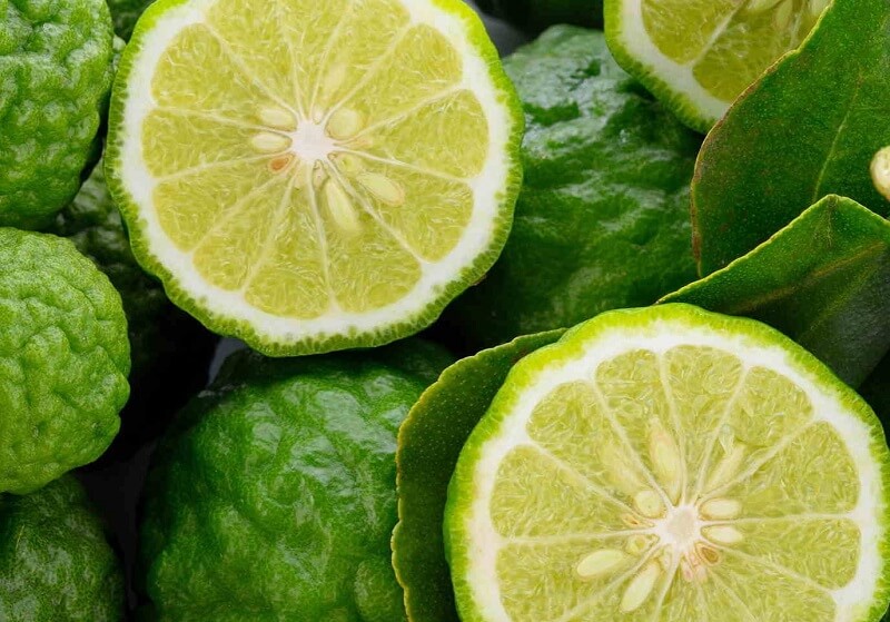 گروه بویایی مدیترانه ای برای چه شخصیت هایی مناسب است؟