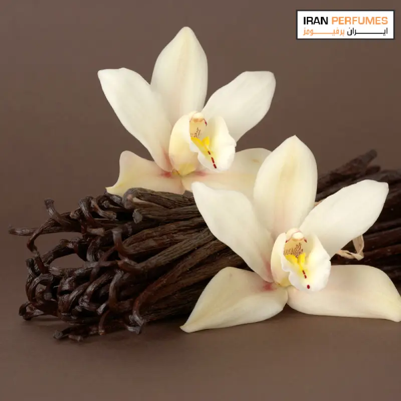 مشخصات رایحه وانیل vanilla