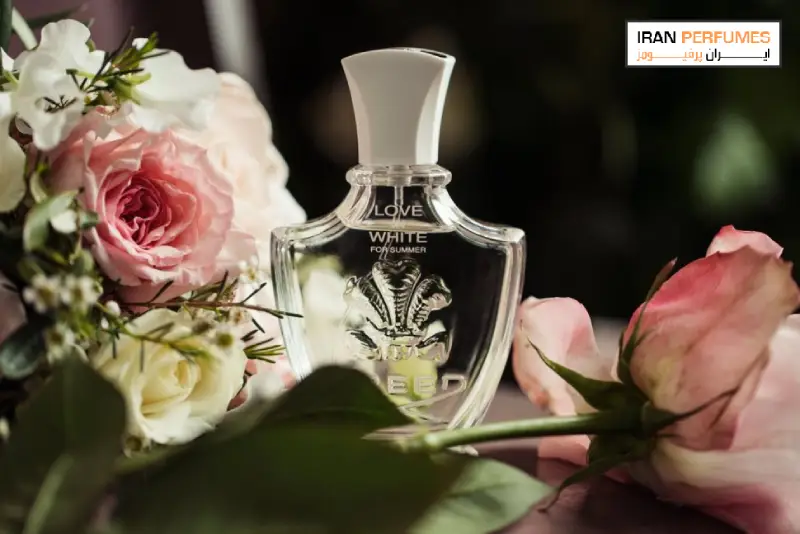 راهنمای خرید عطر سرد برای تابستان