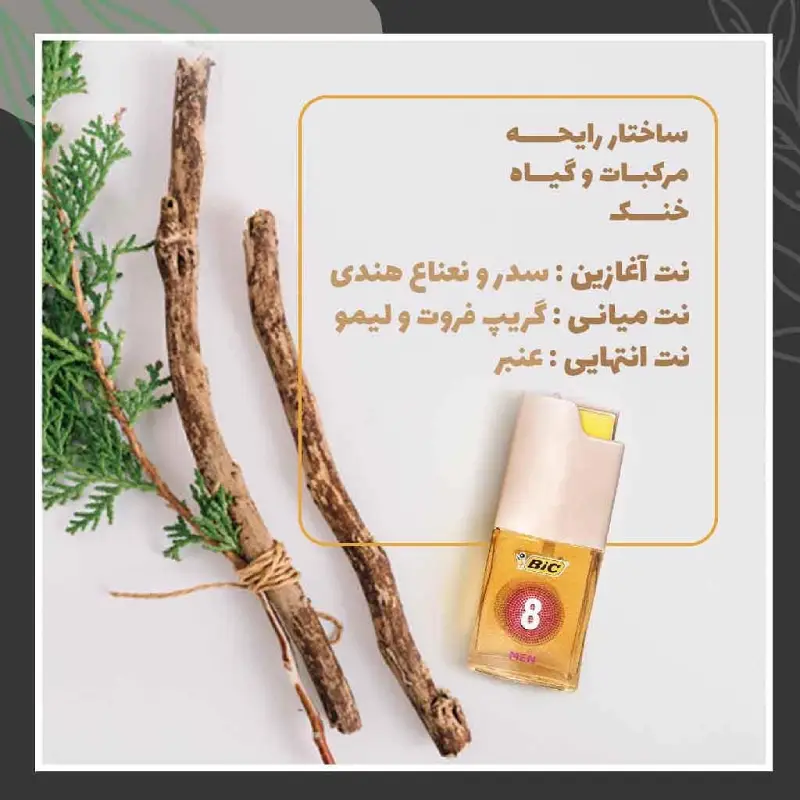 عطر جیبی مردانه بیک مدل Dot Collection No8
