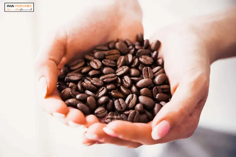 نقش قهوه در عطر فروشی‌ها