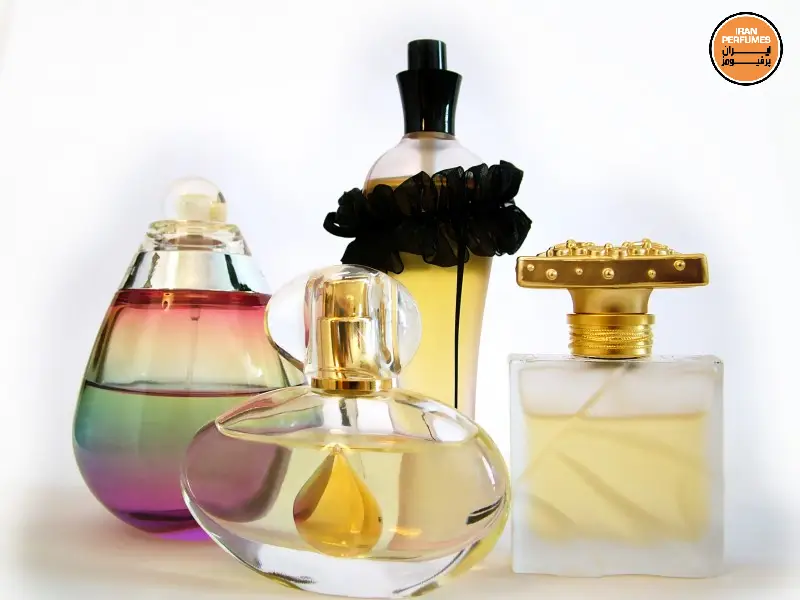انتخاب عطر بر اساس جنسیت آیا فرقی هم می‌کنند در انتخاب عطر یا ادکلن