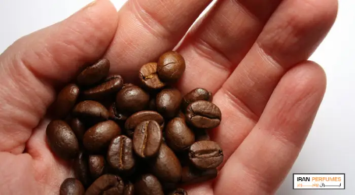 نقش قهوه در عطر فروشی‌ها چیست؟