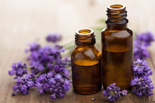 معرفی گروه بویایی آروماتیک ( Aromatic ) 